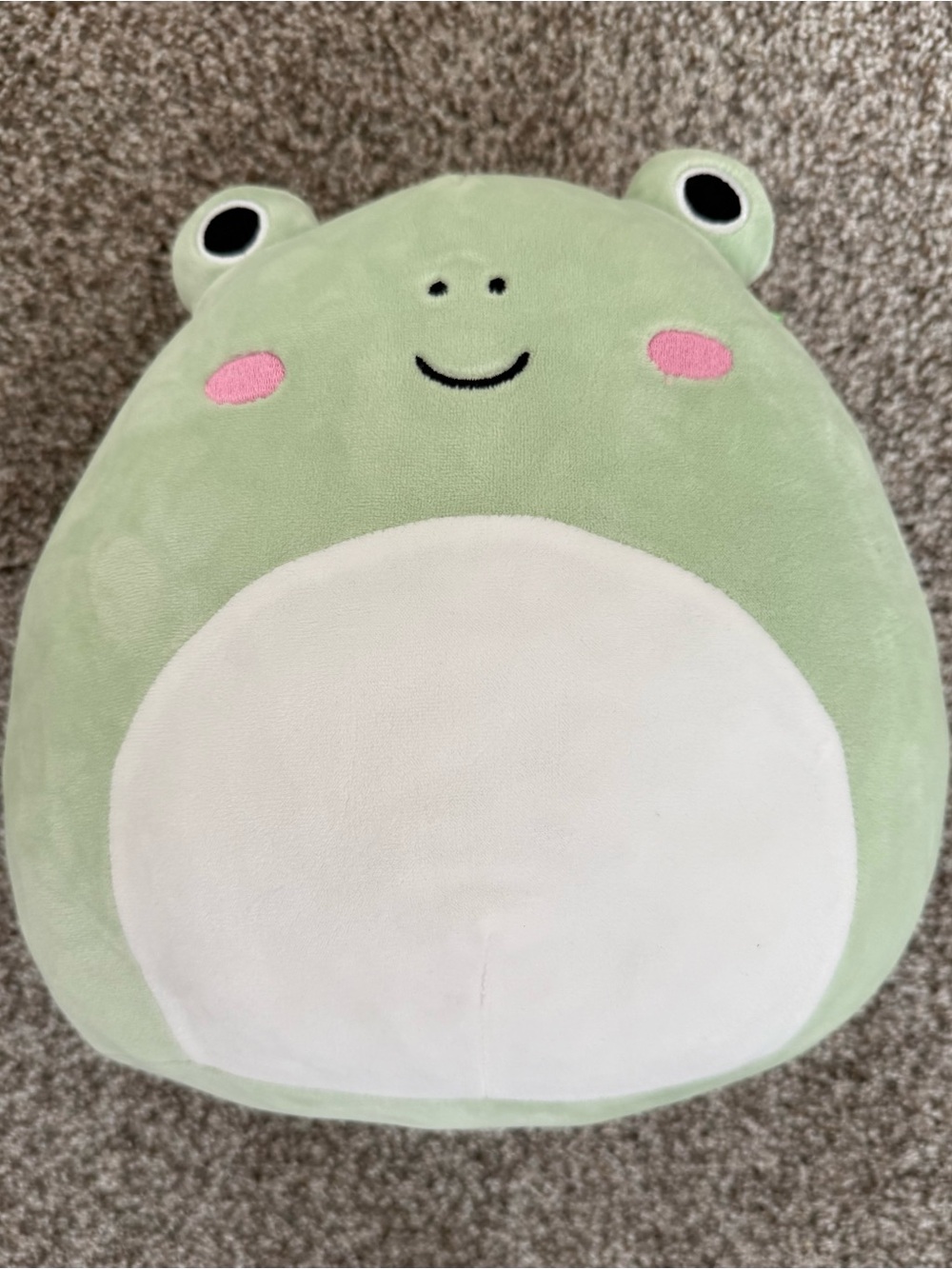 Squishmallows 10” Wendy the Frog Plush